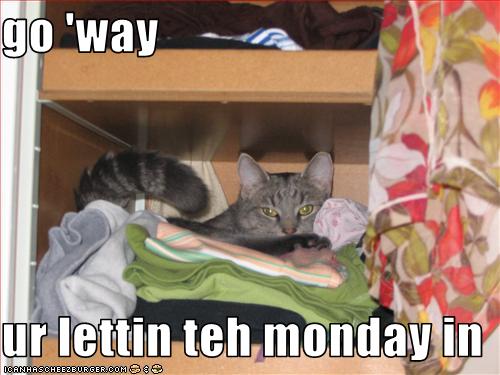 http://stuffiwouldbazooka.files.wordpress.com/2009/04/funny-pictures-cat-says-you-are-letting-the-monday-in.jpg